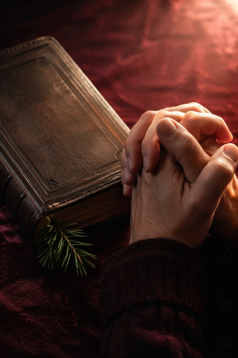 Praying Hands Beside Bible with Evergreen Sprig