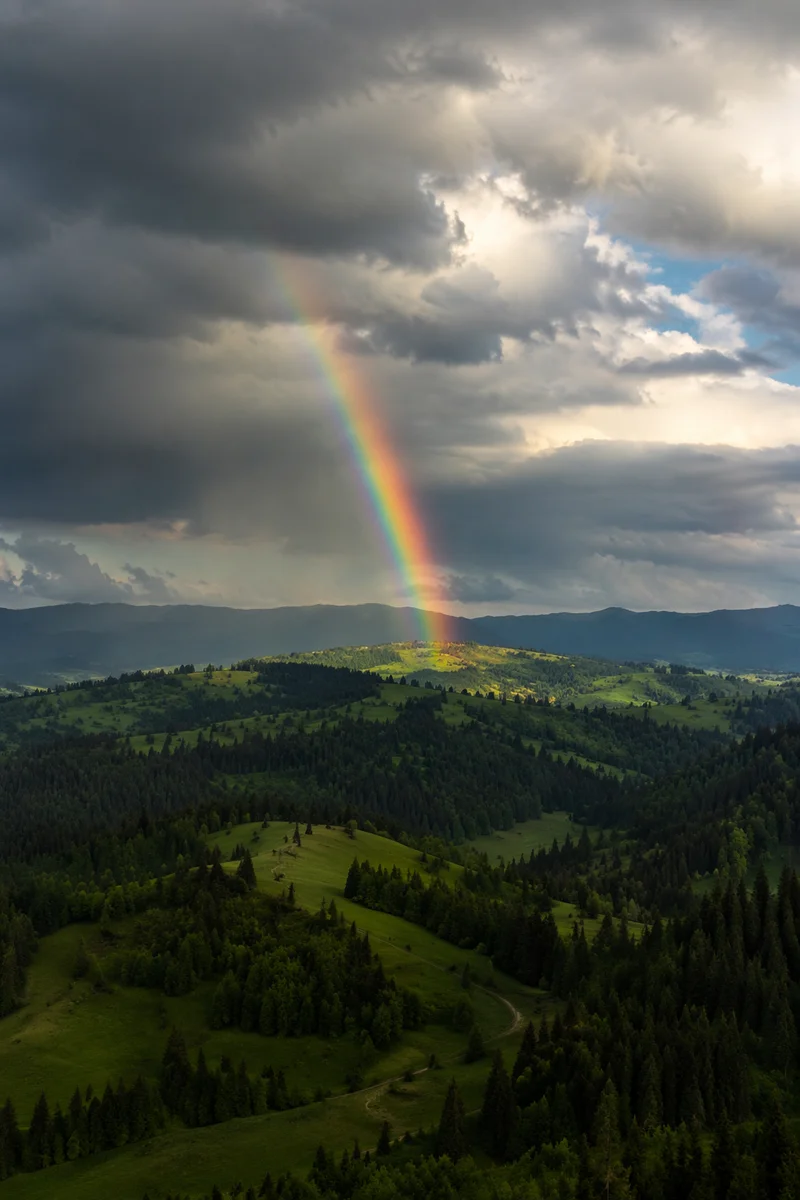 Rainbow Over Evergreen Valley After Storm