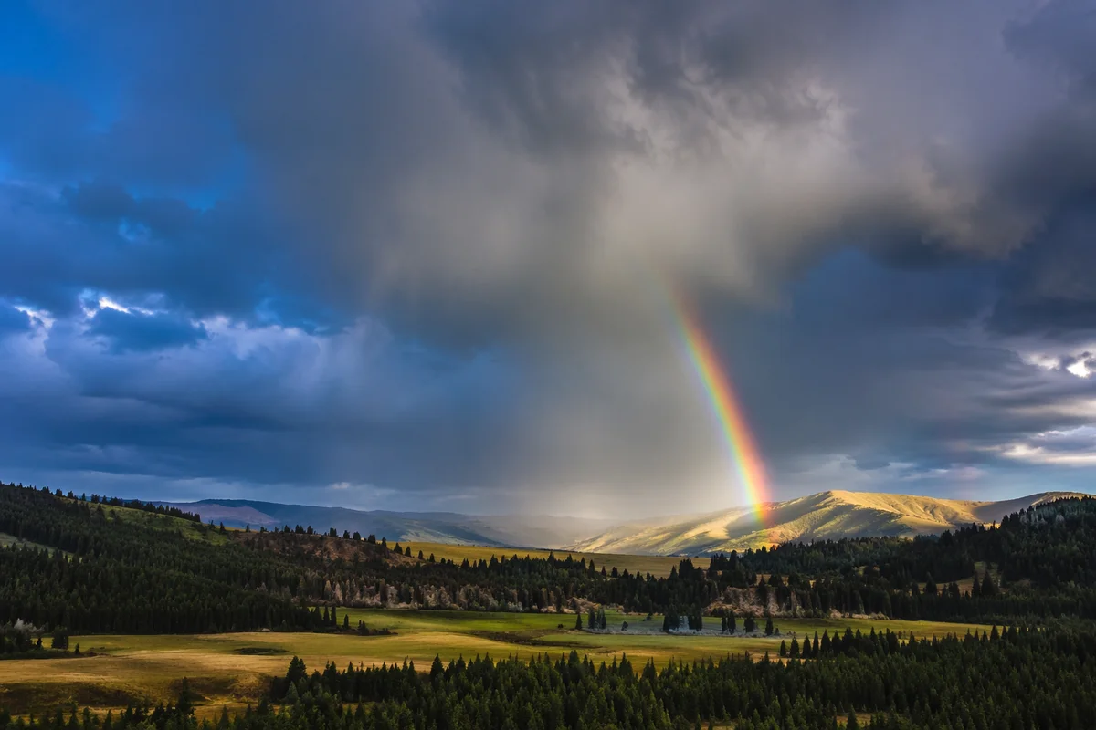 Rainbow Over Evergreen Valley After Storm