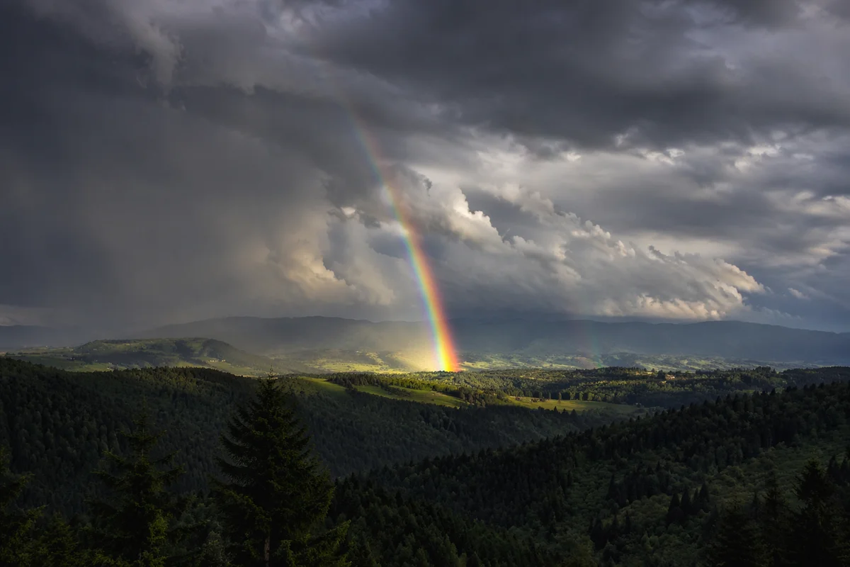 Rainbow Over Evergreen Valley After Storm