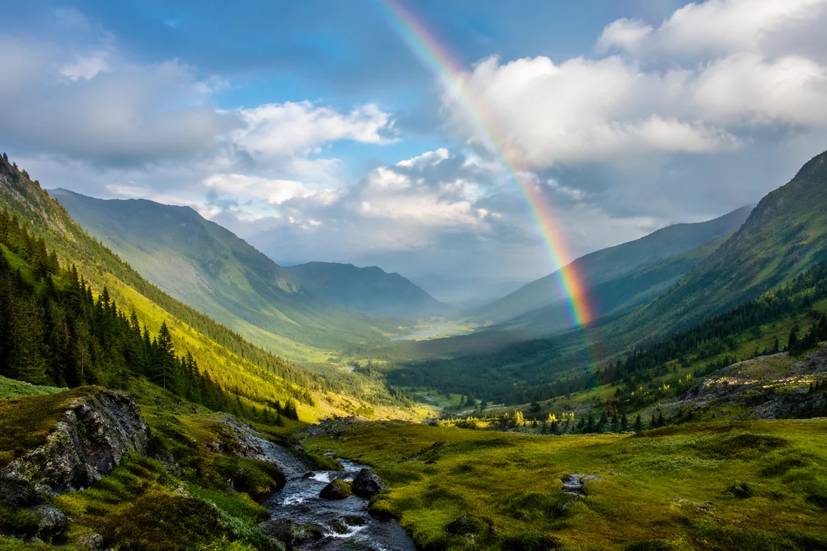 Rainbow Over Evergreen Valley After Storm