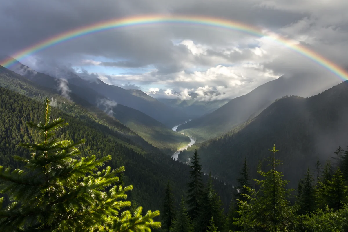 Rainbow Over Evergreen Valley After Storm