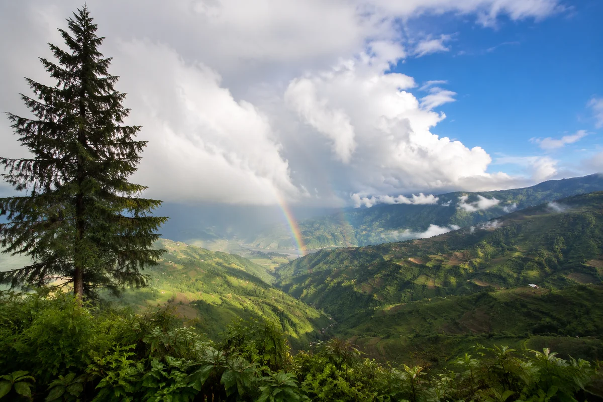 Rainbow Over Evergreen Valley After Storm