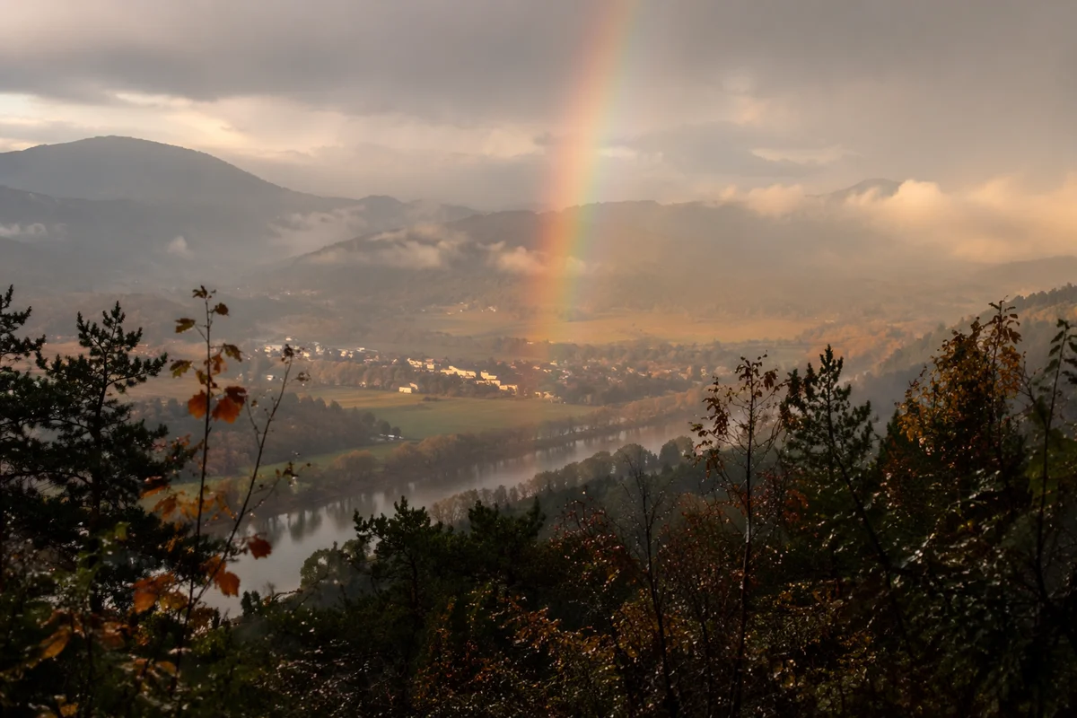 Rainbow Over Misty Evergreen Valley After Storm