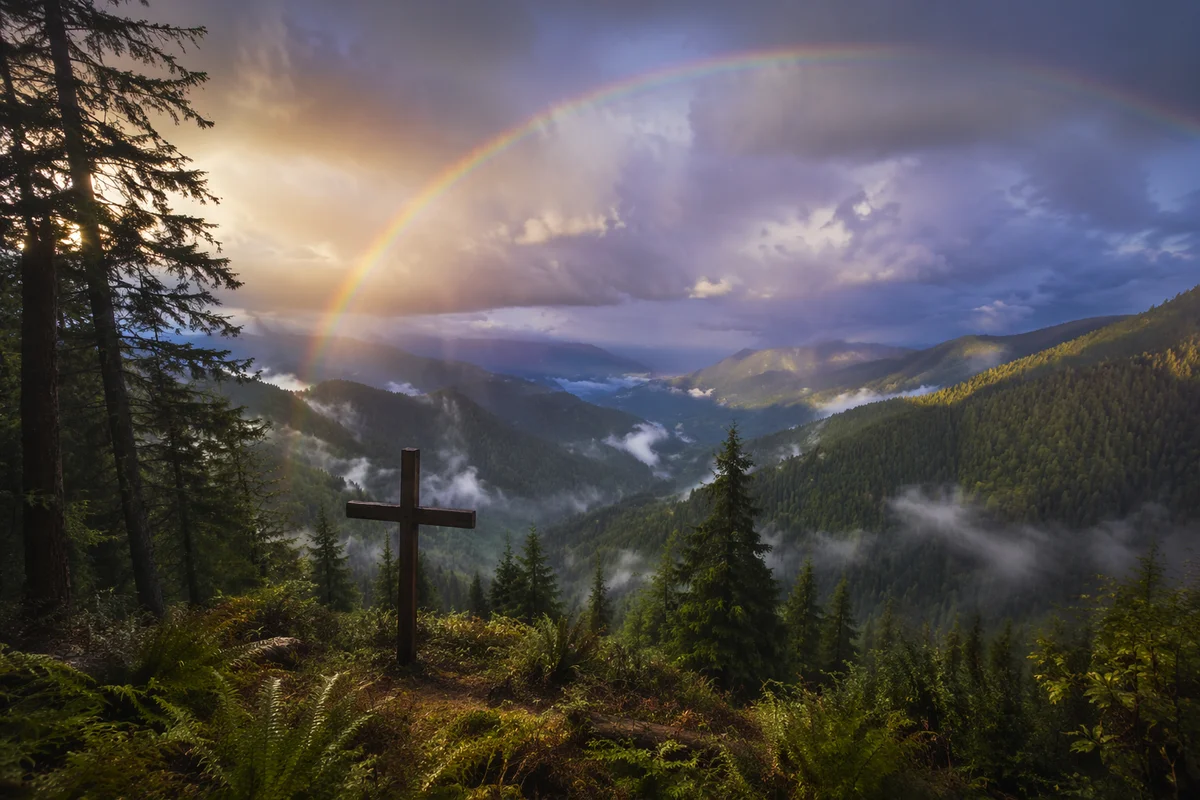 Rainbow Over Storm Washed Evergreen Valley