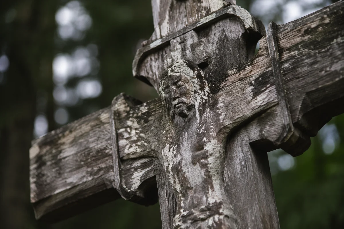 Weathered Wooden Cross in Evergreen Woodland