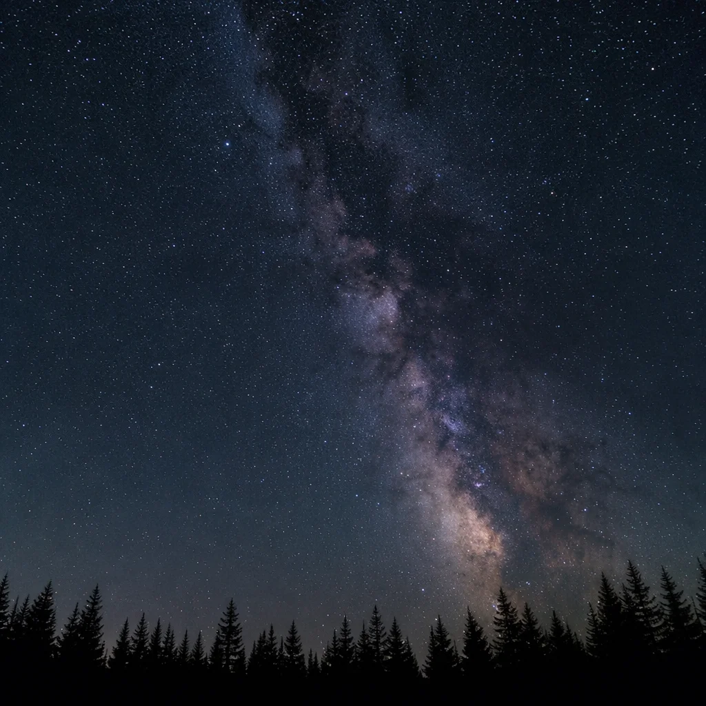 Milky Way Over Quiet Evergreen Forest