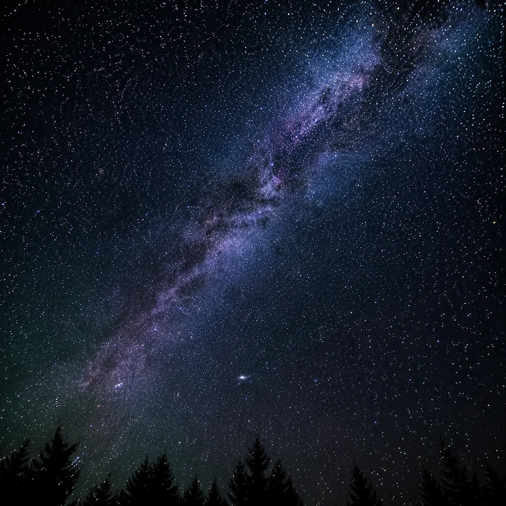 Milky Way Over Evergreen Night Sky