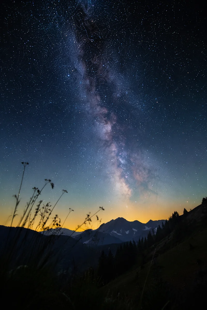Milky Way Over Evergreen Mountain Valley