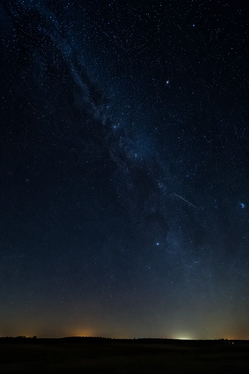 Milky Way Over Quiet Evergreen Horizon