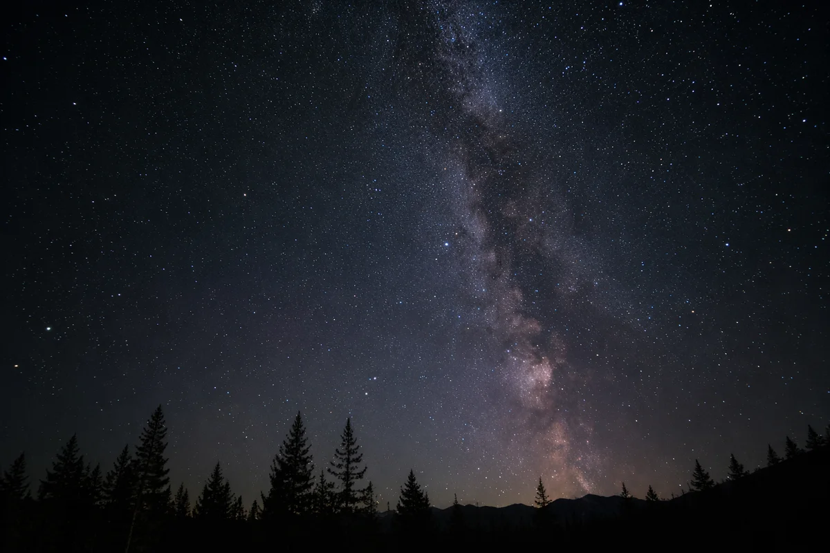 Milky Way Above Evergreen Forest Silhouette