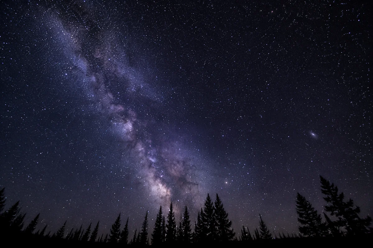 Milky Way Over Evergreen Silhouette