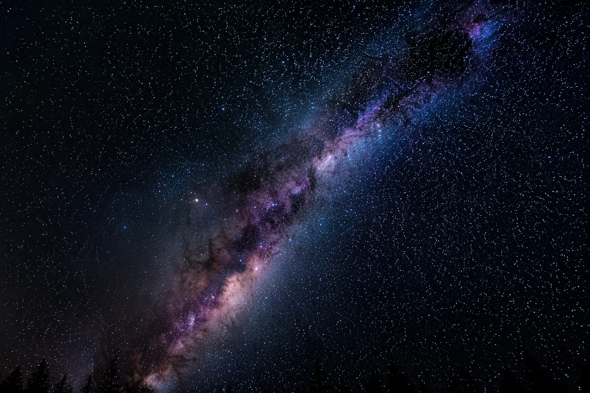 Milky Way Over Evergreen Treetops