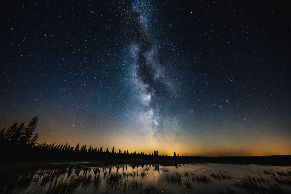 Milky Way Over Evergreen Marsh at Night