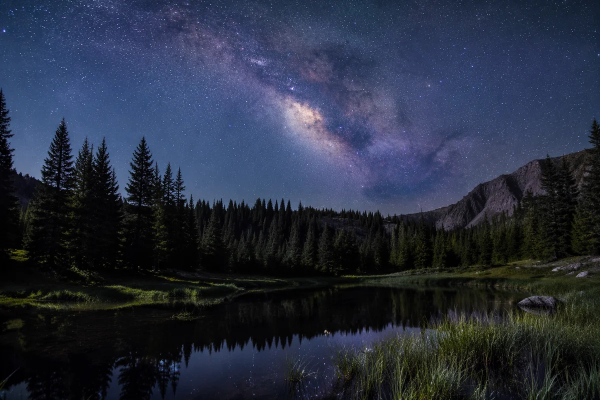 Milky Way Over Evergreen Forest Pond