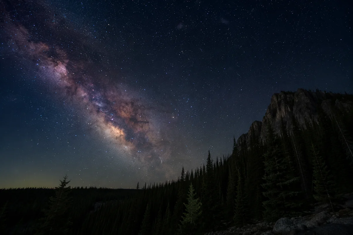 Milky Way Over Evergreen Forest Night