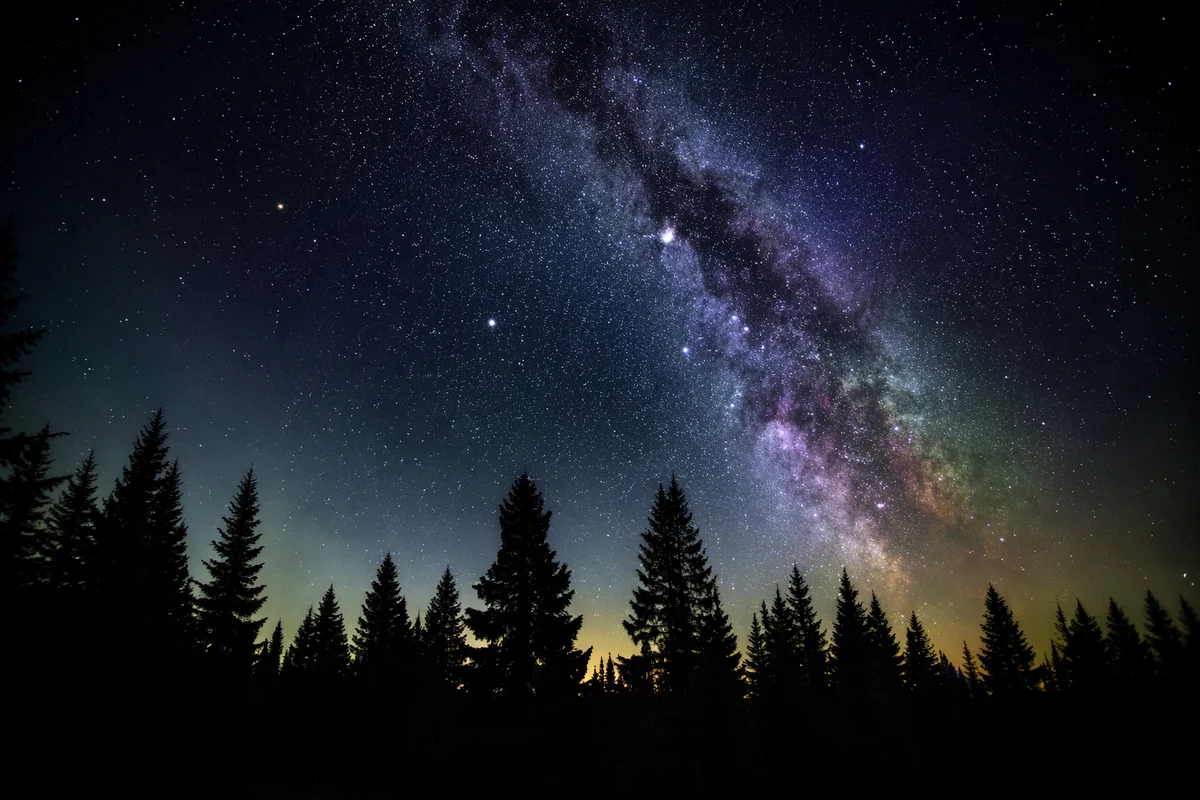 Milky Way Above Evergreen Forest Silhouettes