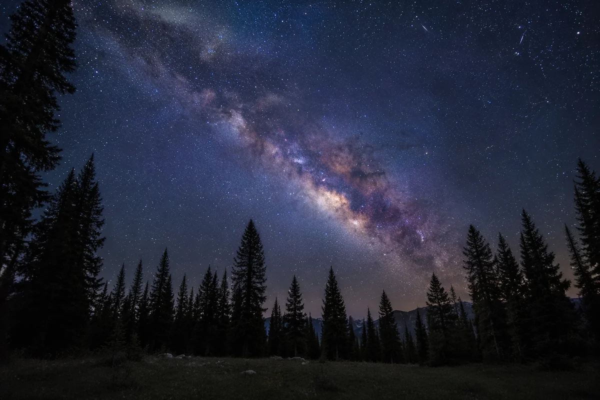 Milky Way Over Evergreen Forest