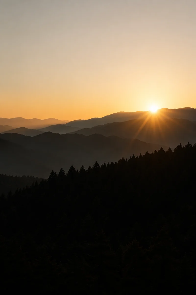 Golden Sunrise Over Evergreen Mountain Range
