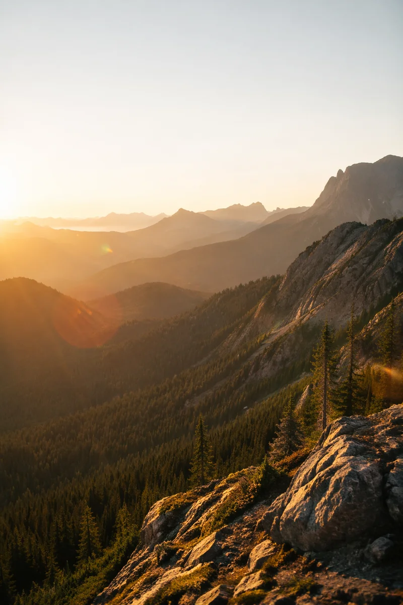 Golden Sunrise Over Evergreen Mountain Range