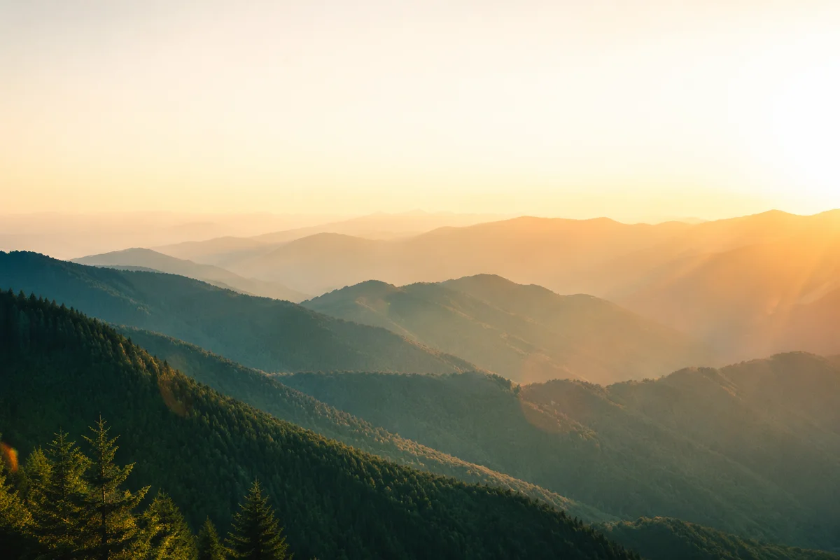 Golden Sunrise Over Evergreen Mountain Ridges