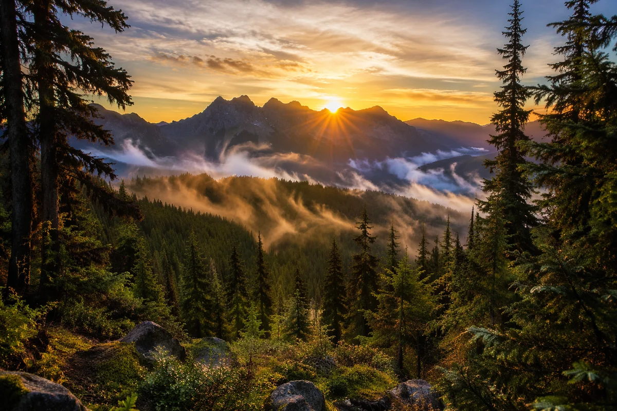 Golden Sunrise Over Evergreen Mountain Wilderness