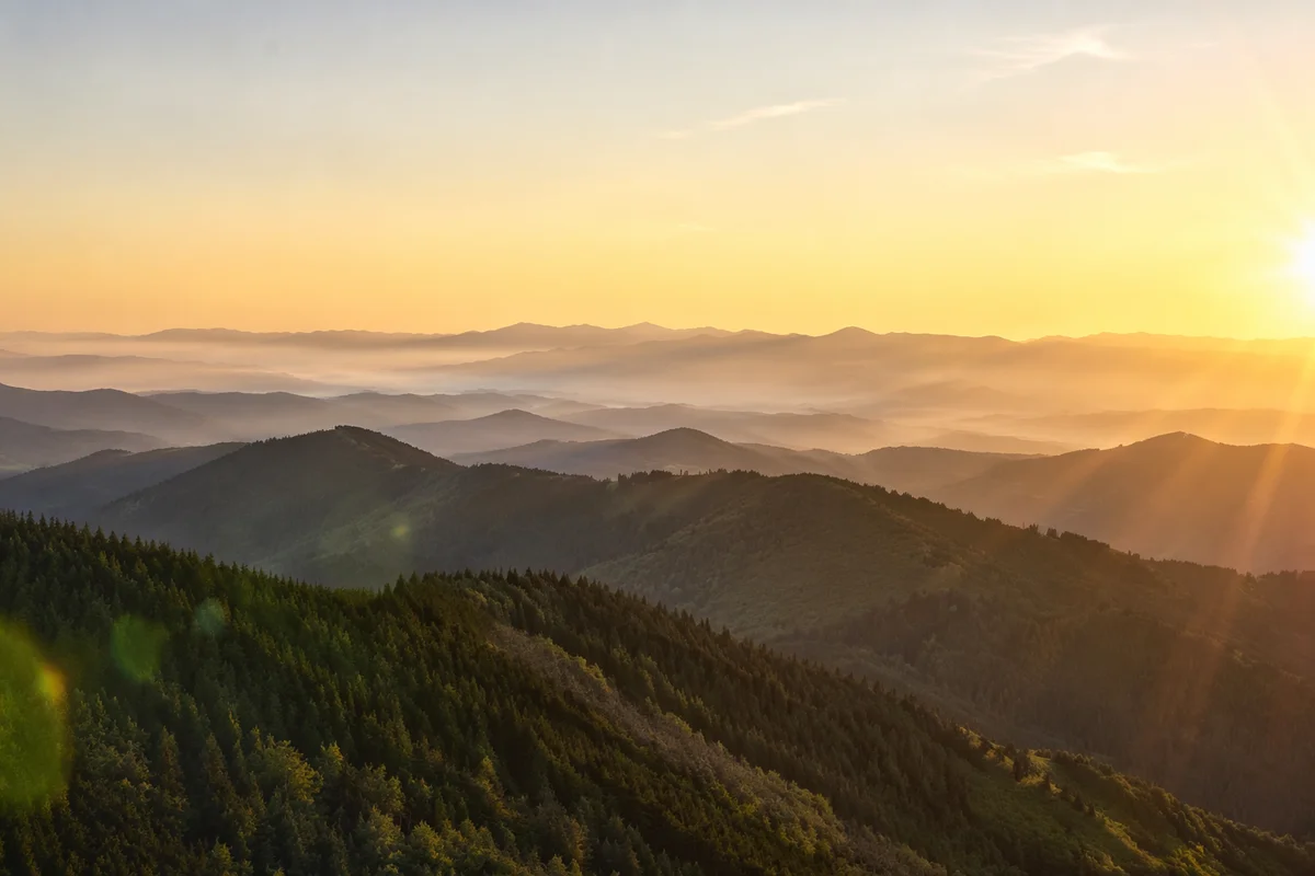 Golden Sunrise Over Evergreen Mountain Ridges