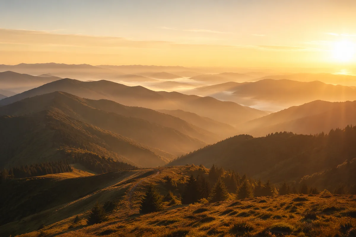 Golden Sunrise Over Evergreen Mountain Range