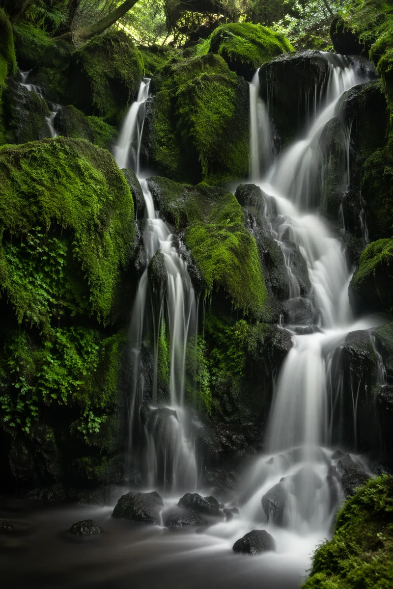 Serene Waterfall in Evergreen Moss Forest