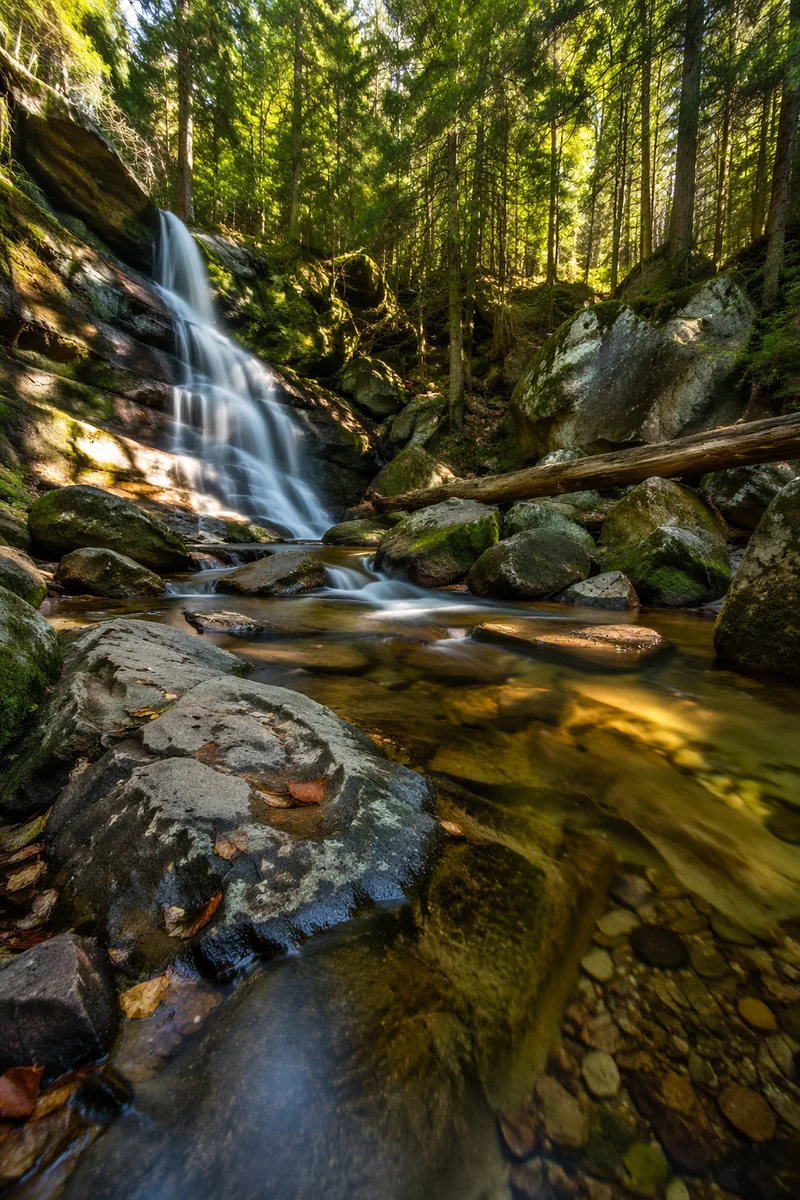 Peaceful Woodland Waterfall in Evergreen Forest