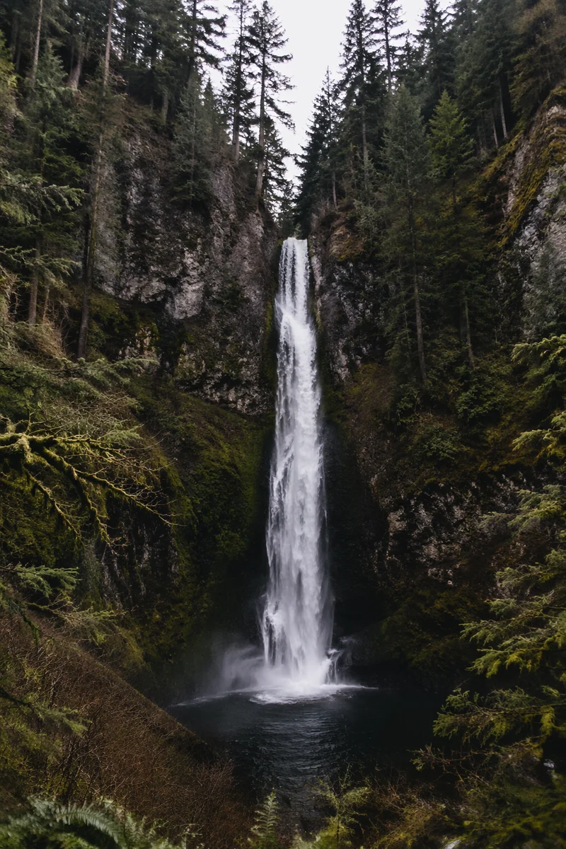 Serene Waterfall in Evergreen Forest Gorge