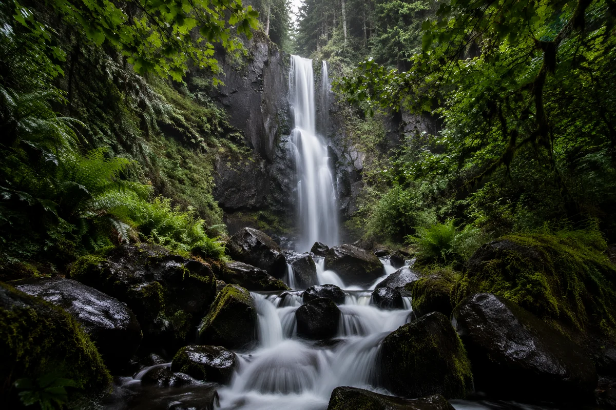 Misty Waterfall in Evergreen Rainforest