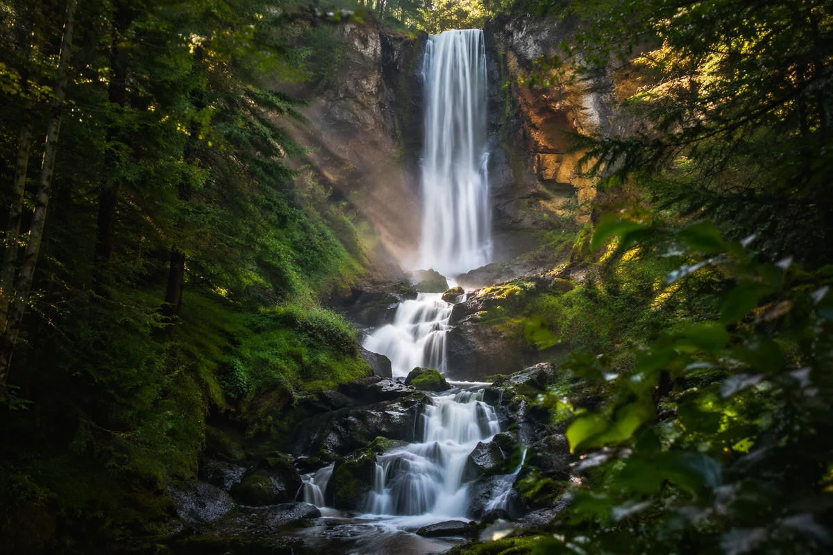 Evergreen Forest Waterfall in Morning Light