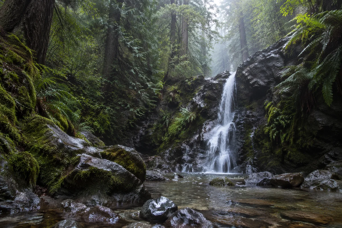 Misty Waterfall in Evergreen Rainforest