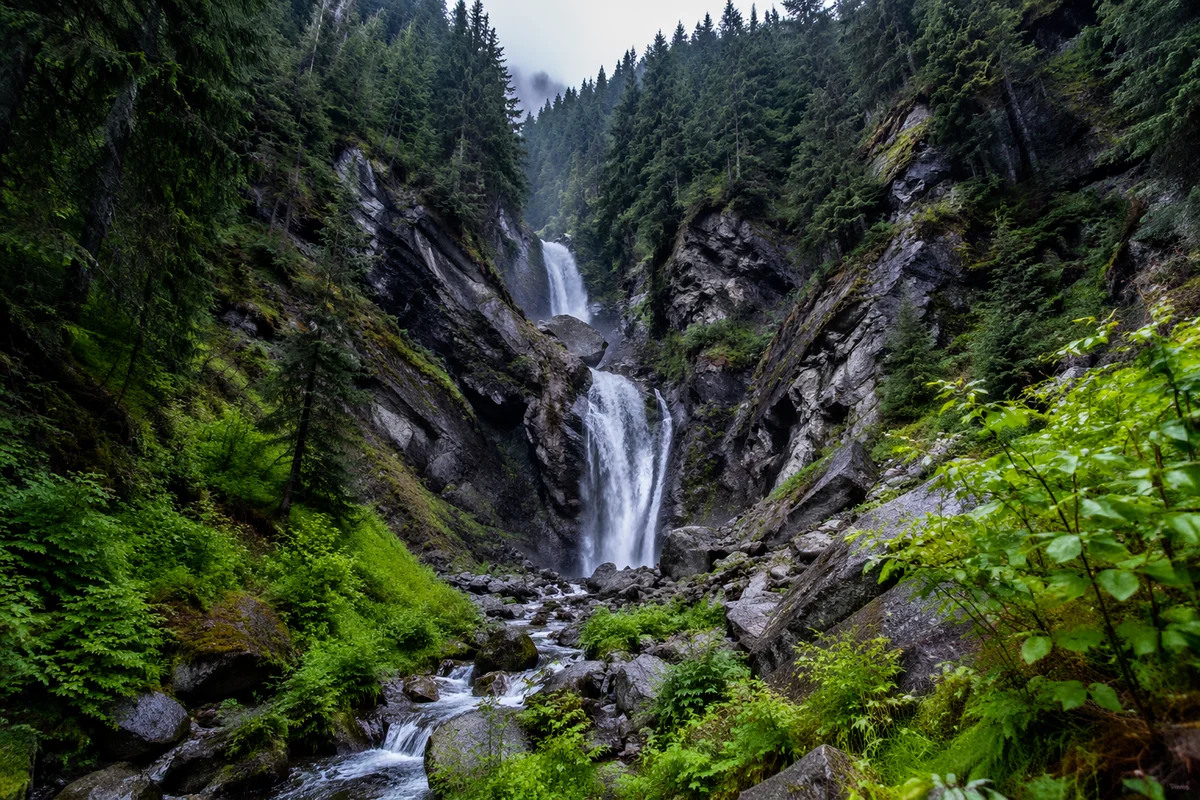 Secluded Waterfall in Evergreen Forest Ravine