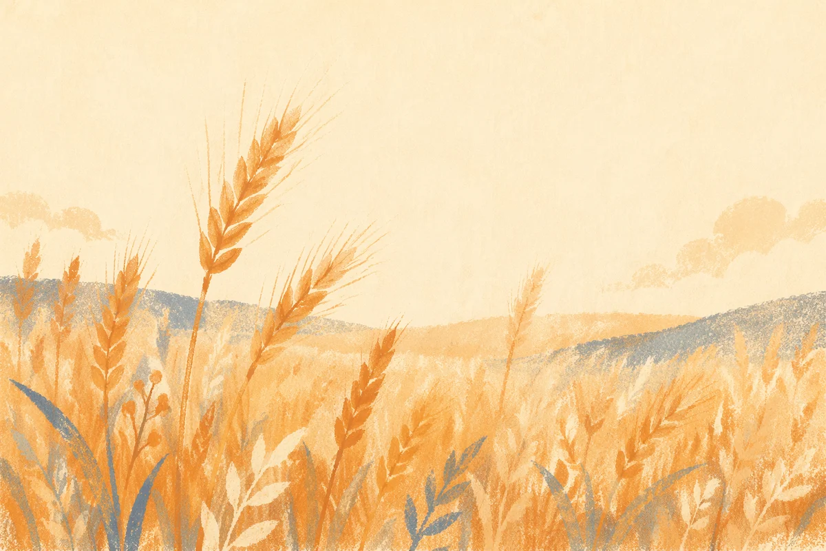 Golden Wheat Harvest Under Cream Sky