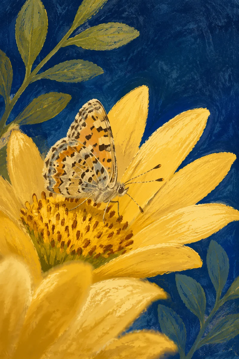 Butterfly Resting on Yellow Garden Flower
