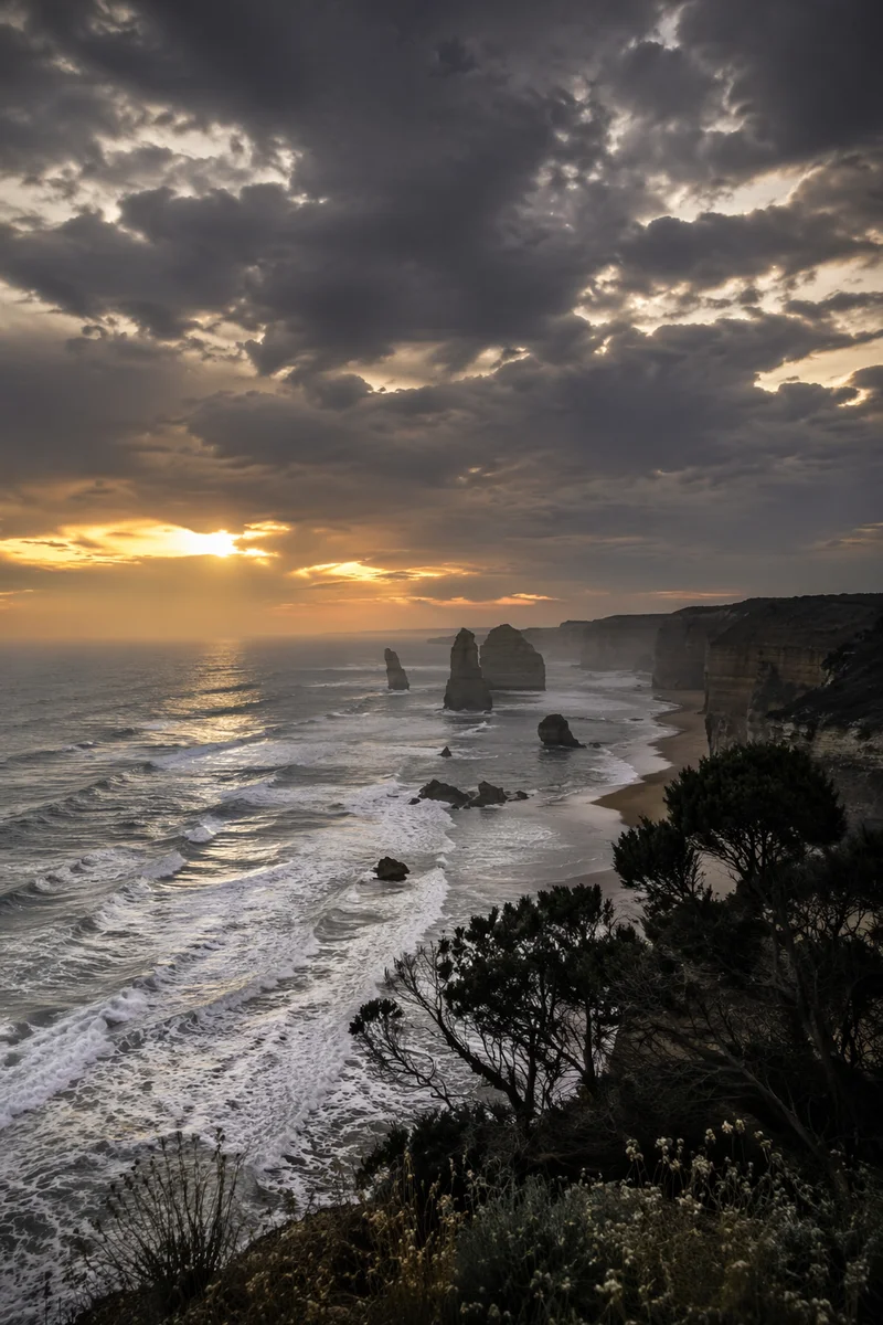 Tree Silhouette Sunset Over Stormy Coast