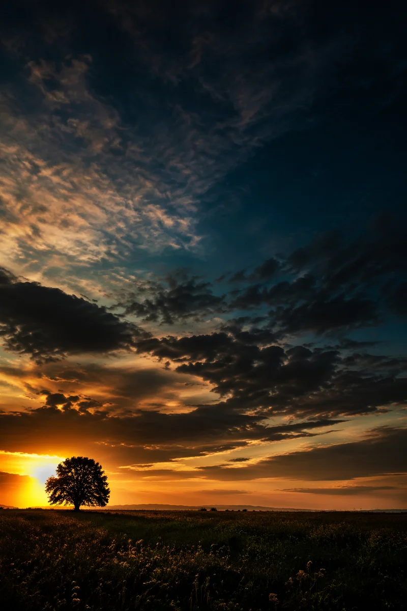 Lone Tree Silhouette Under Dramatic Sunset Sky