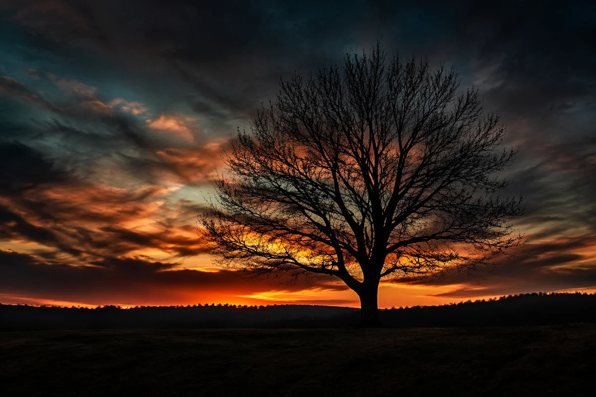 Solitary Tree Silhouette at Dramatic Sunset