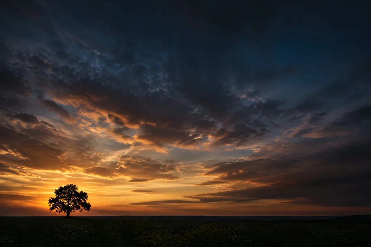 Lone Tree Silhouette Under Dramatic Sunset Sky