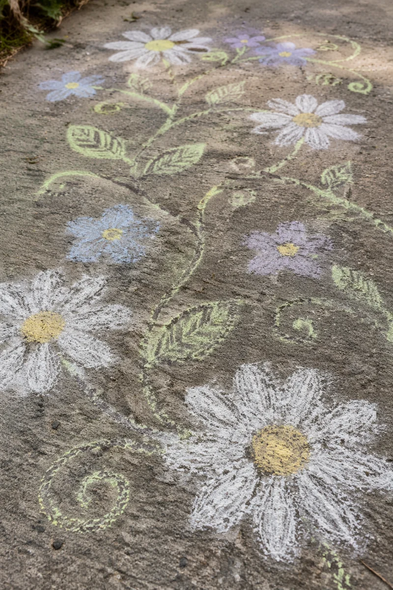 White Daisy Chalk Garden on Concrete