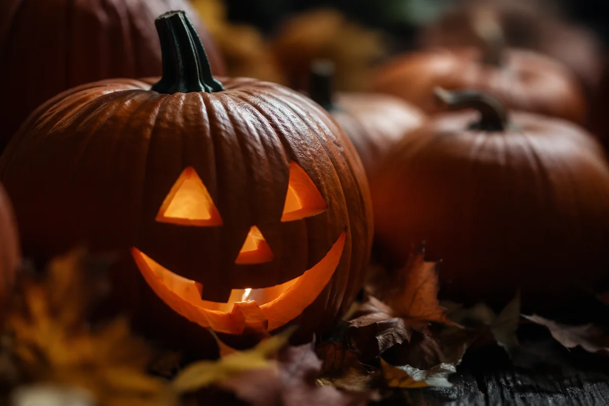 Glowing Halloween Jack O Lantern with Pumpkins