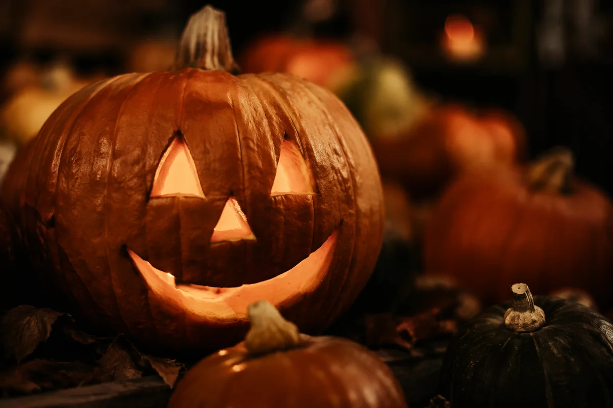 Glowing Jack O Lantern Autumn Display