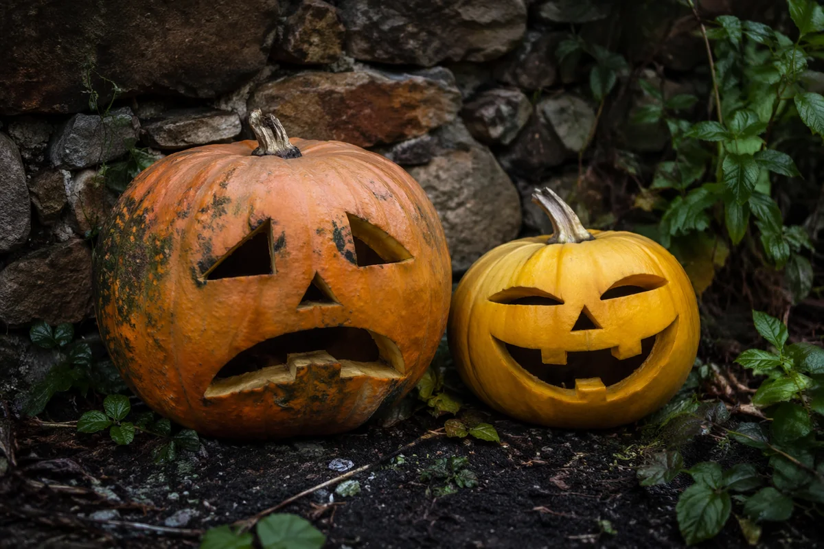Photorealistic Carved Jack O Lantern Pumpkins