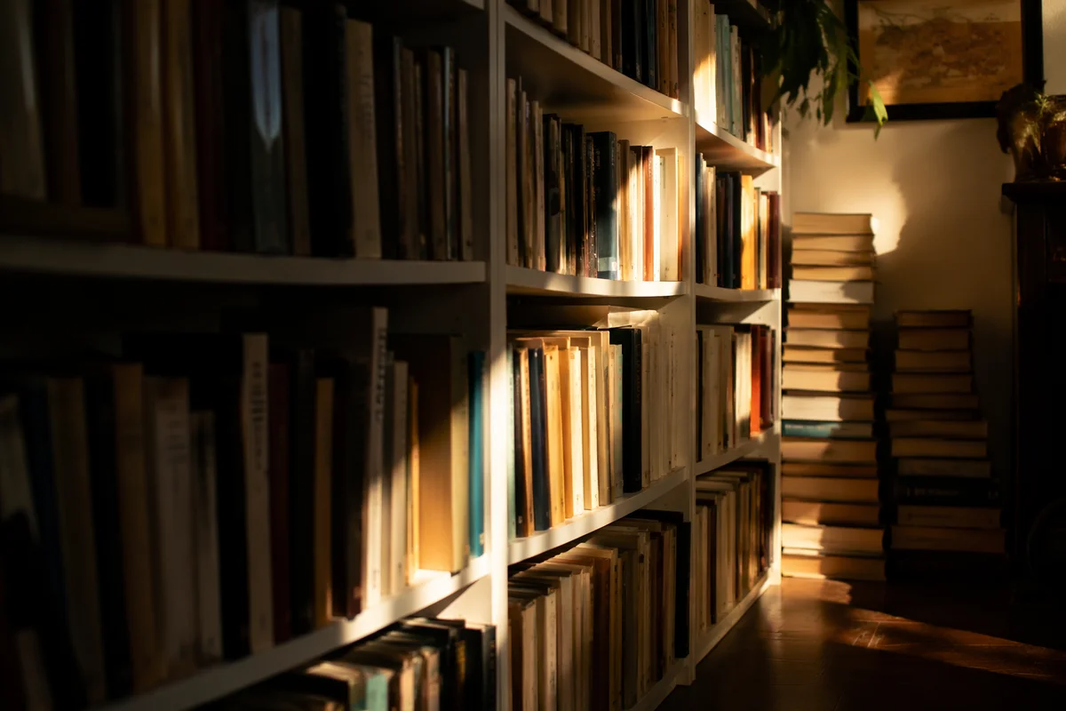 Cozy Sunlit Bookshelf Corner Interior