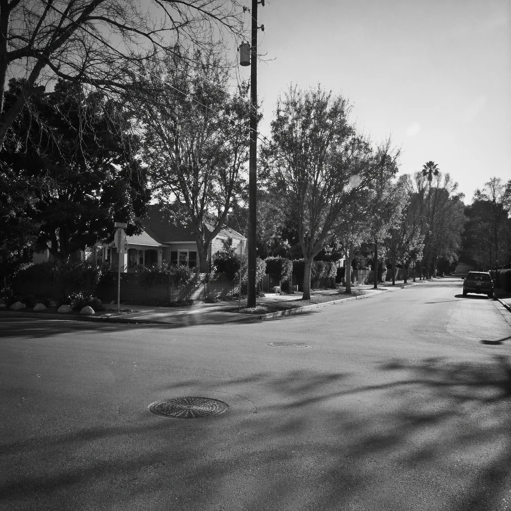 Quiet Suburban Street Corner in Monochrome