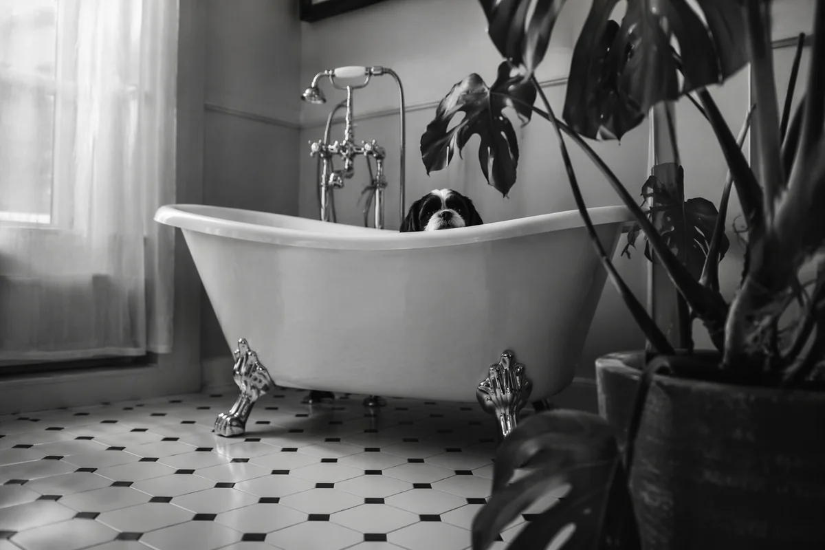Vintage Clawfoot Tub Bathroom Interior Scene