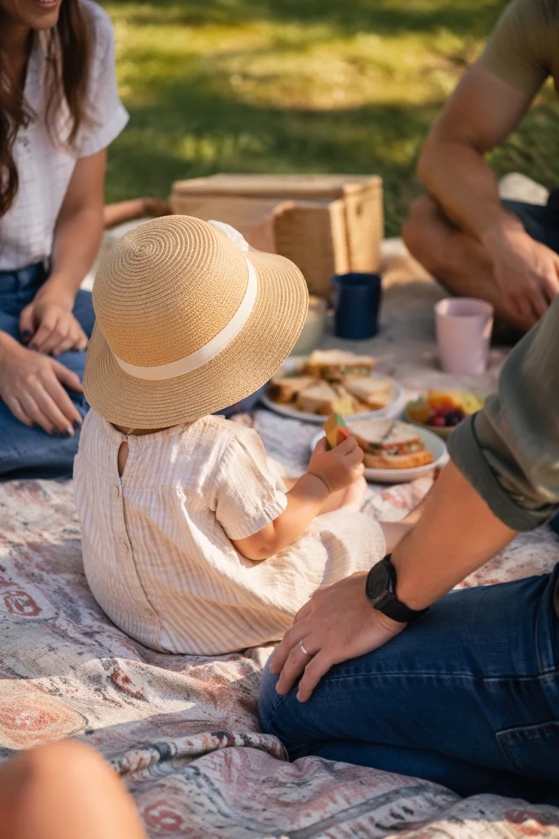 Sunny Family Picnic in Park