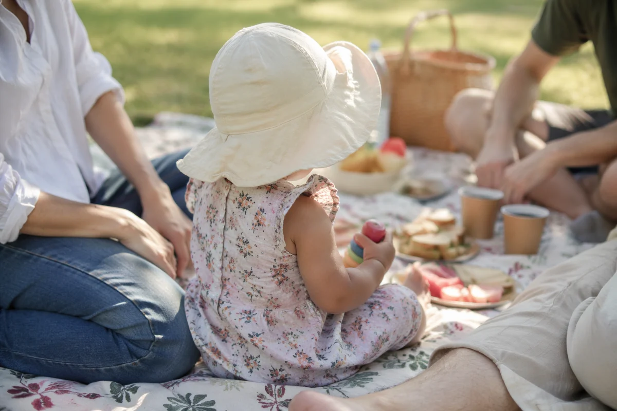 Sunny Family Picnic in Park Blanket